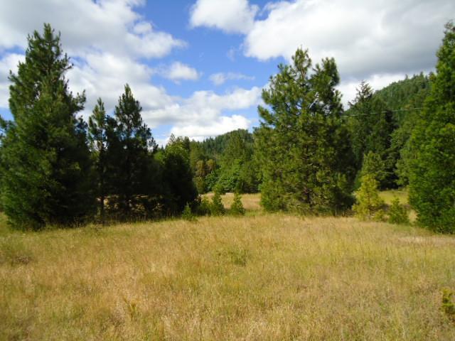 795 Thompson Creek Road Selma, OR 97538 - Photo 1 of 8 Primary Photo
