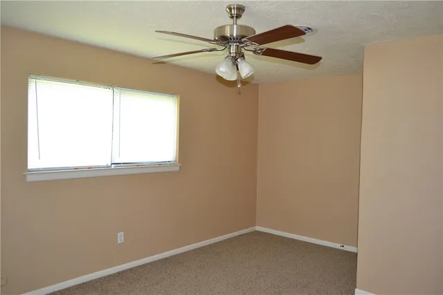 a view of a yard with a trees