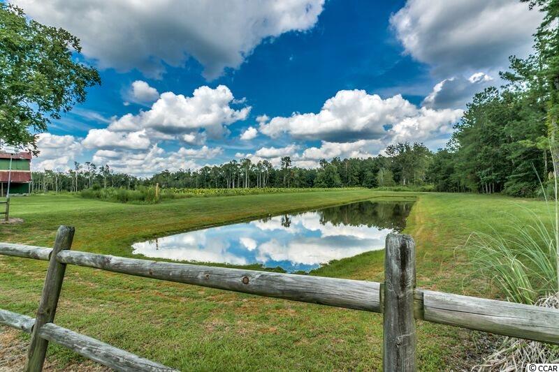 8149 Louisville Road Aynor, SC 29511 - Photo 25 of 25 Gallery Image 25