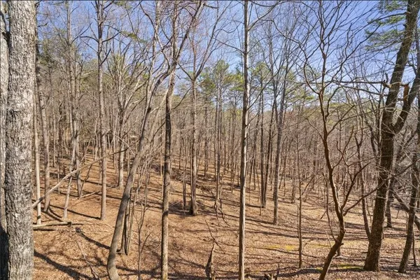 $425,000 | 81 Cardinal Cove, Big Canoe, GA 30143