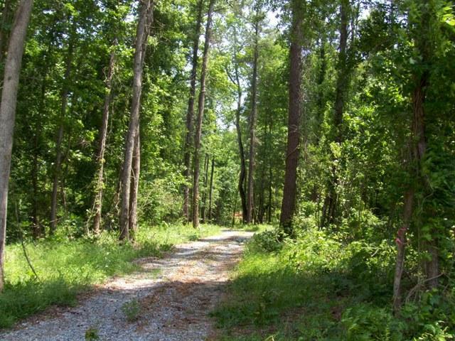 207 Bowen Hill Road Haddock, GA 31033 - Photo 1 of 1