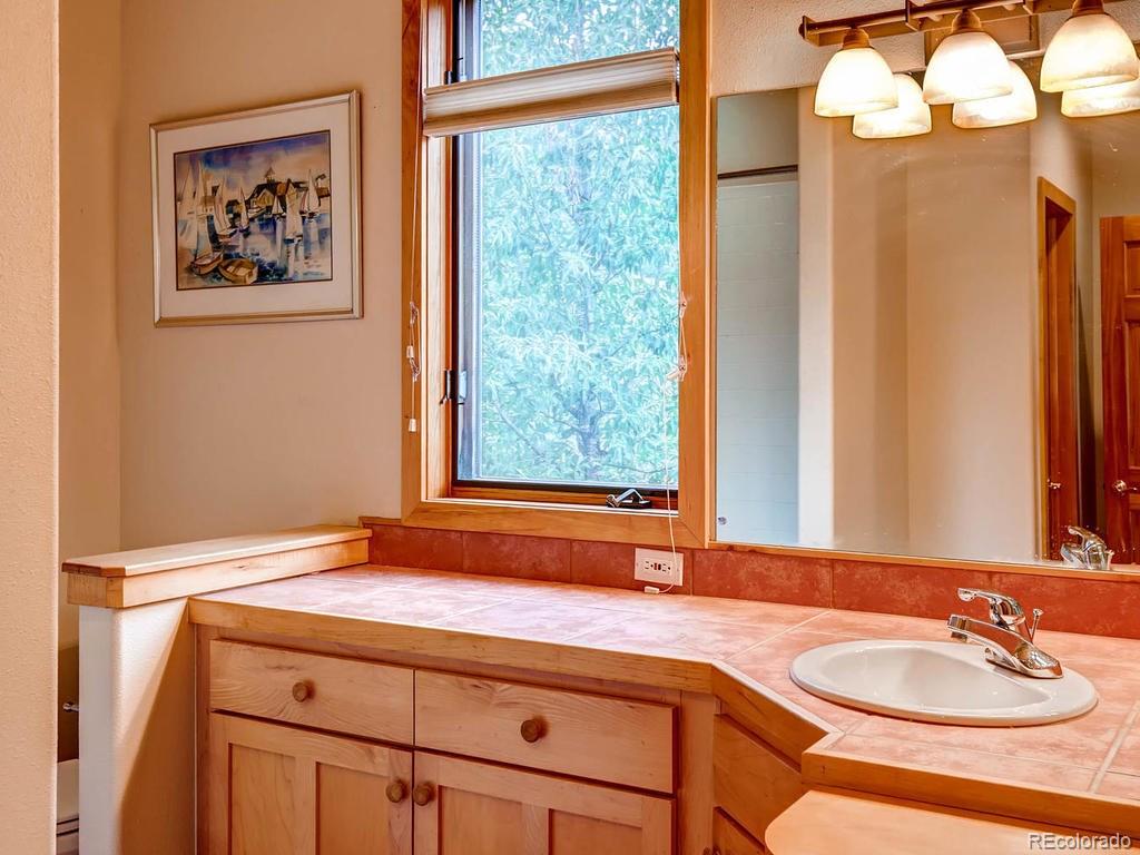 742 Wild Rose Road Silverthorne, CO 80498 - Photo 12 of 28 Gallery Image 12