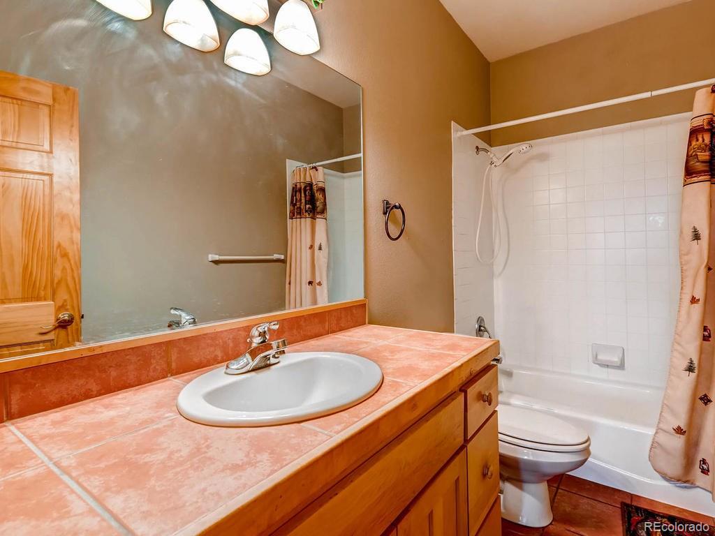 742 Wild Rose Road Silverthorne, CO 80498 - Photo 14 of 28 Gallery Image 14