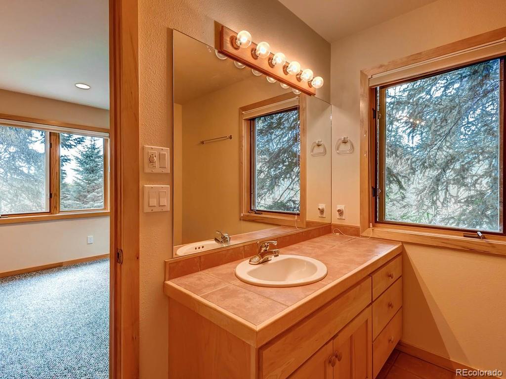 742 Wild Rose Road Silverthorne, CO 80498 - Photo 19 of 28 Gallery Image 19
