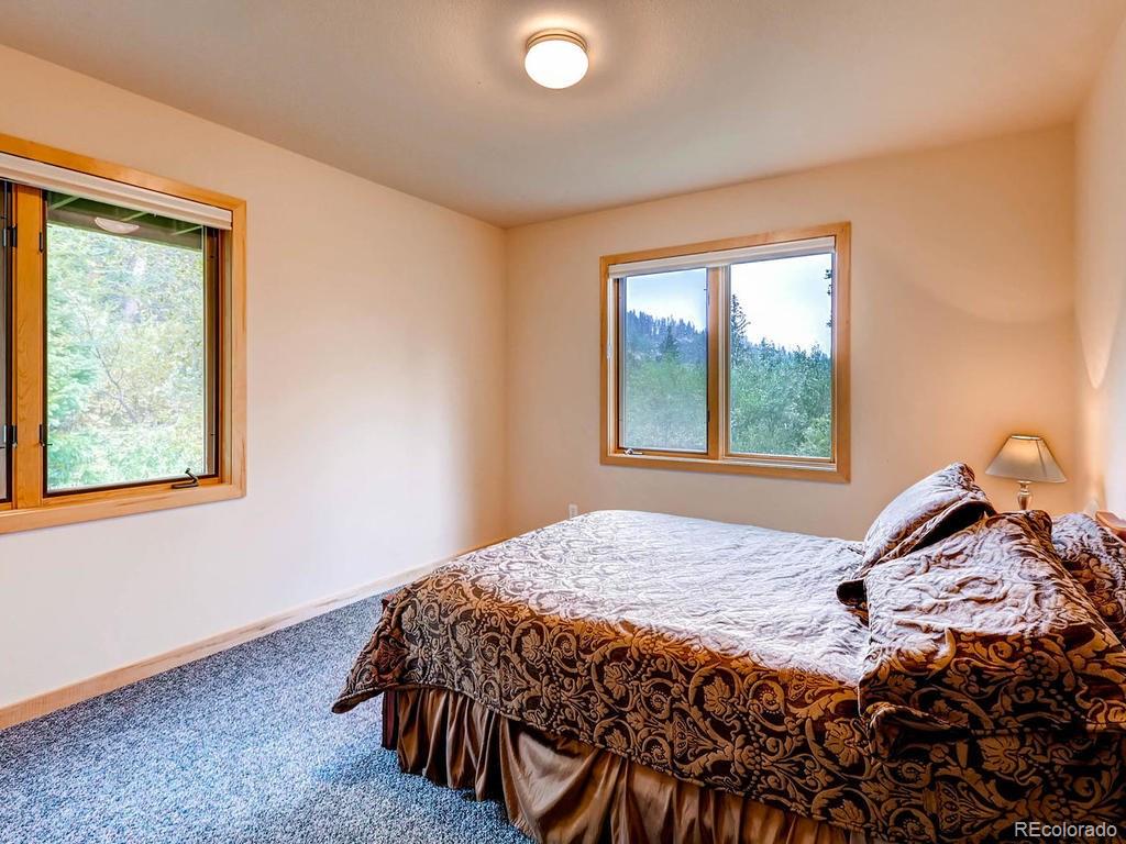 742 Wild Rose Road Silverthorne, CO 80498 - Photo 20 of 28 Gallery Image 20
