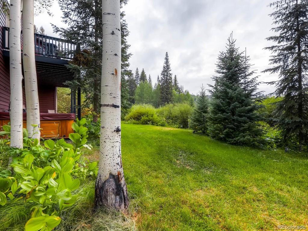 742 Wild Rose Road Silverthorne, CO 80498 - Photo 27 of 28 Gallery Image 27