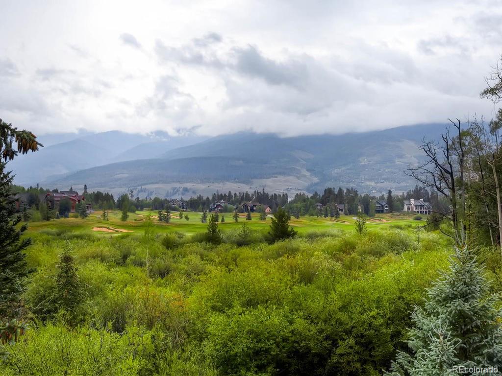 742 Wild Rose Road Silverthorne, CO 80498 - Photo 28 of 28 Gallery Image 28