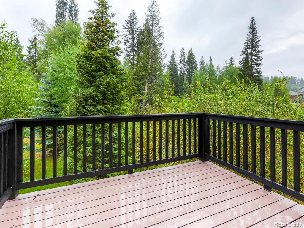 742 Wild Rose Road Silverthorne, CO 80498 - Photo 8 of 28 Gallery Image 8