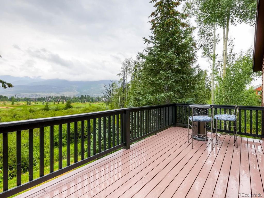 742 Wild Rose Road Silverthorne, CO 80498 - Photo 9 of 28 Gallery Image 9