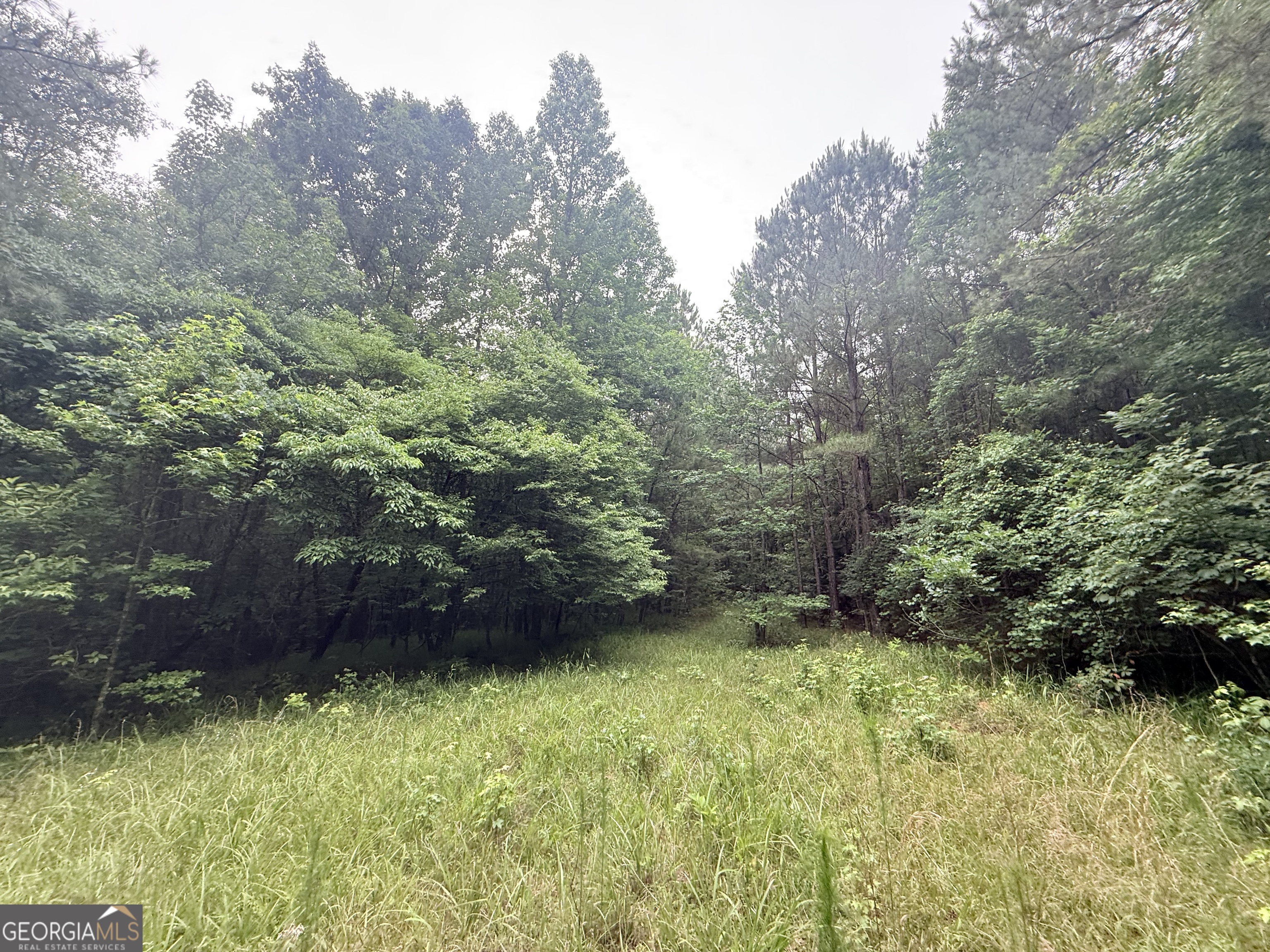 3 Bethesda Church Road Lexington, GA 30648 - Photo 25 of 60