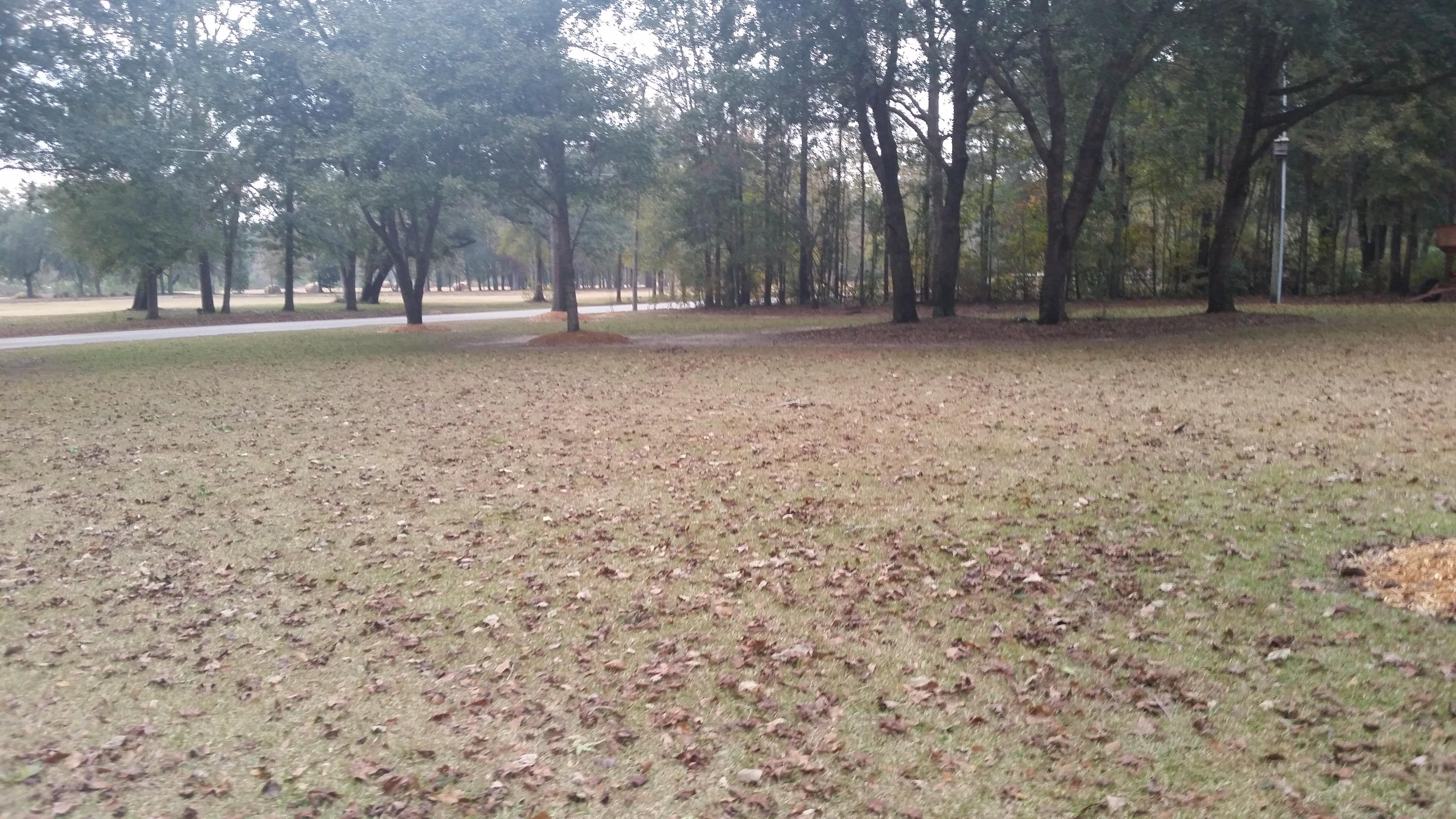 971 Nearing Hills Road Chipley, FL 32428 - Photo 2 of 30 Gallery Image 2