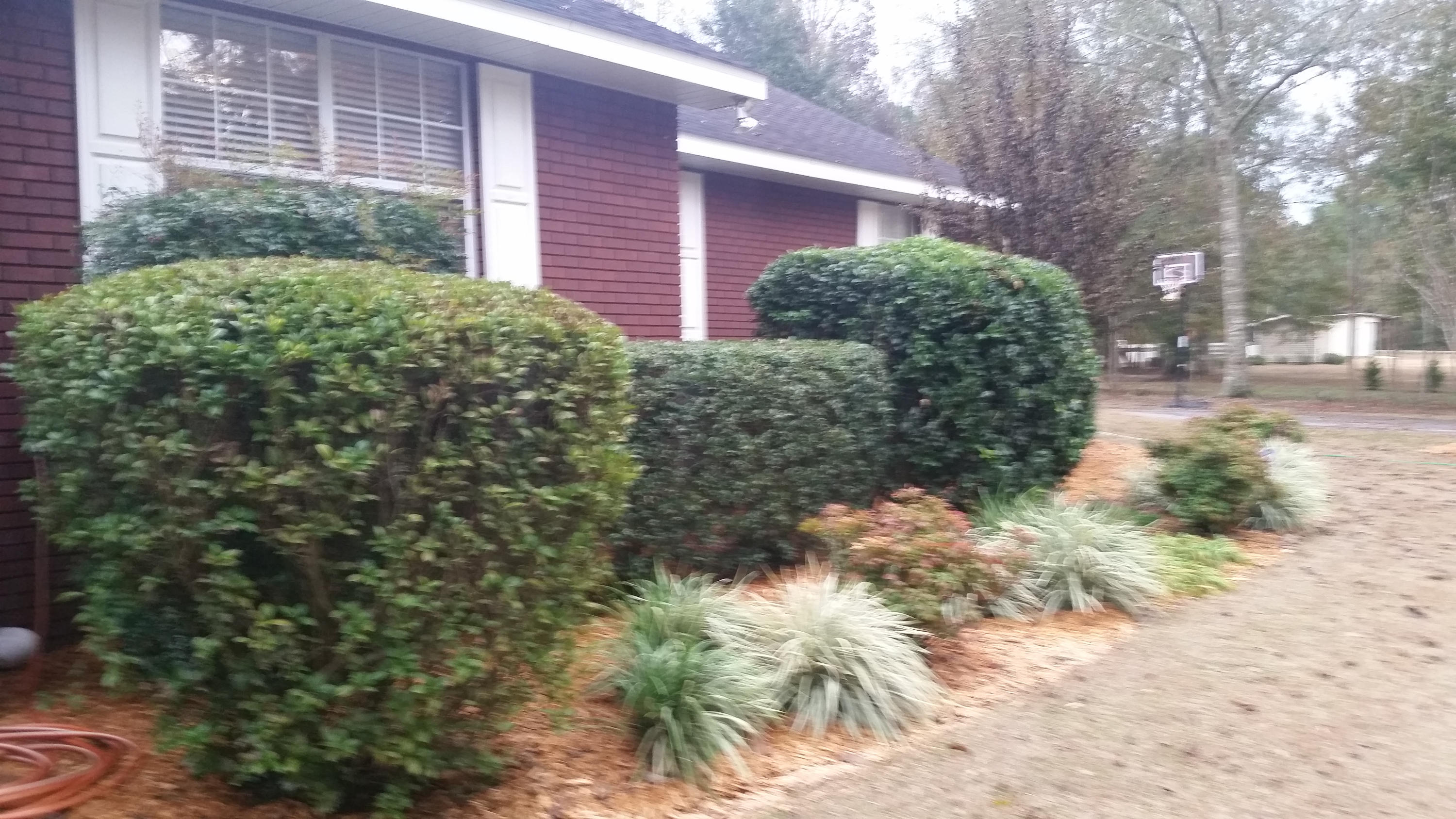 971 Nearing Hills Road Chipley, FL 32428 - Photo 5 of 30 Gallery Image 5