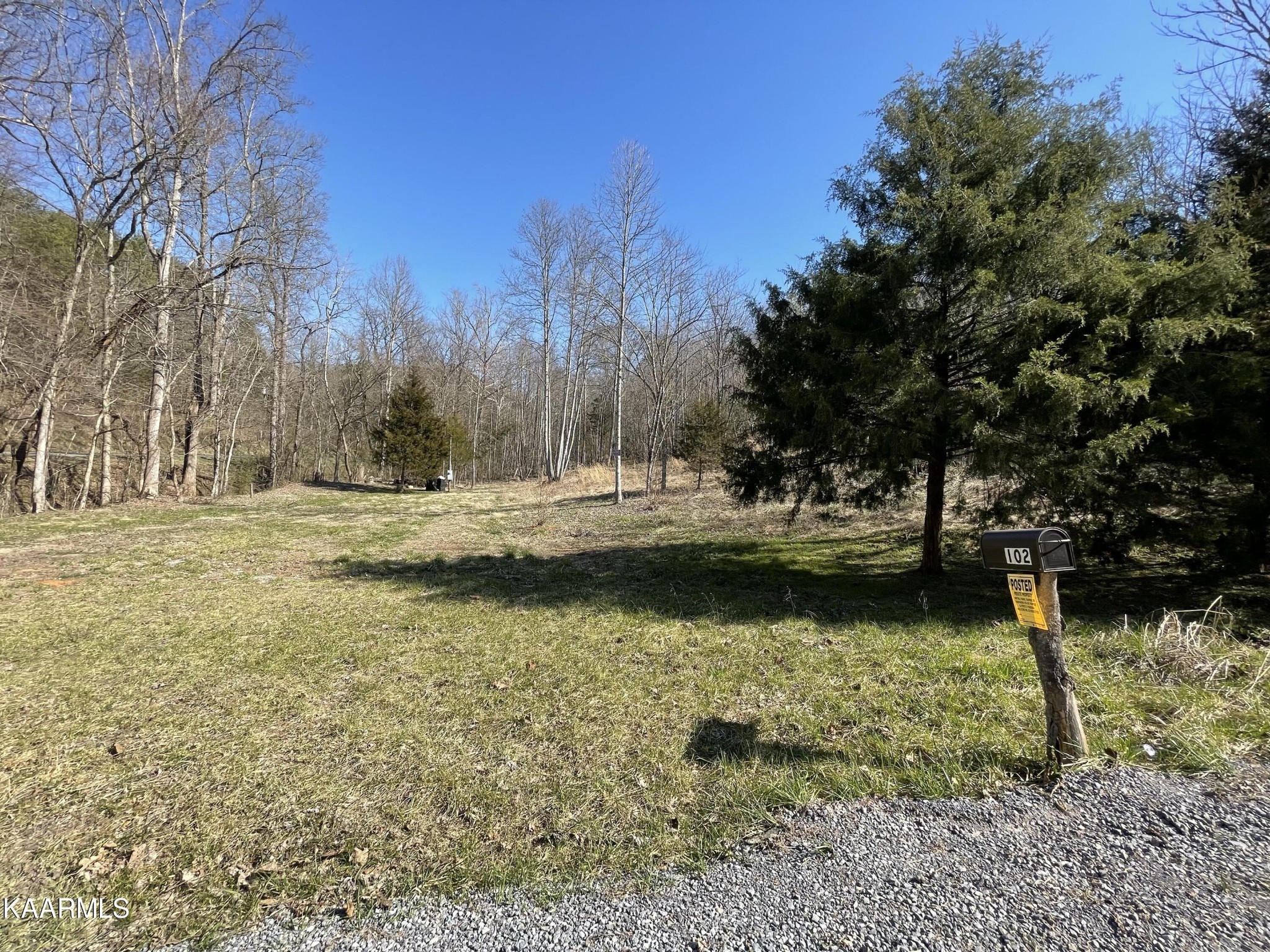 102 Mountain Mist Lane Del Rio, TN 37727 - Photo 15 of 35 a view of lake with trees