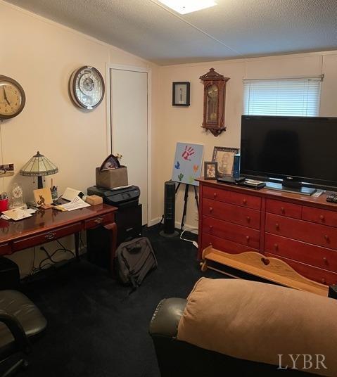 165 Cub Creek Road Appomattox, VA 24522 - Photo 10 of 13 Gallery Image 10