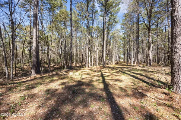 $75,000 | 5109 Kershaw Road, Arapahoe, NC 28510