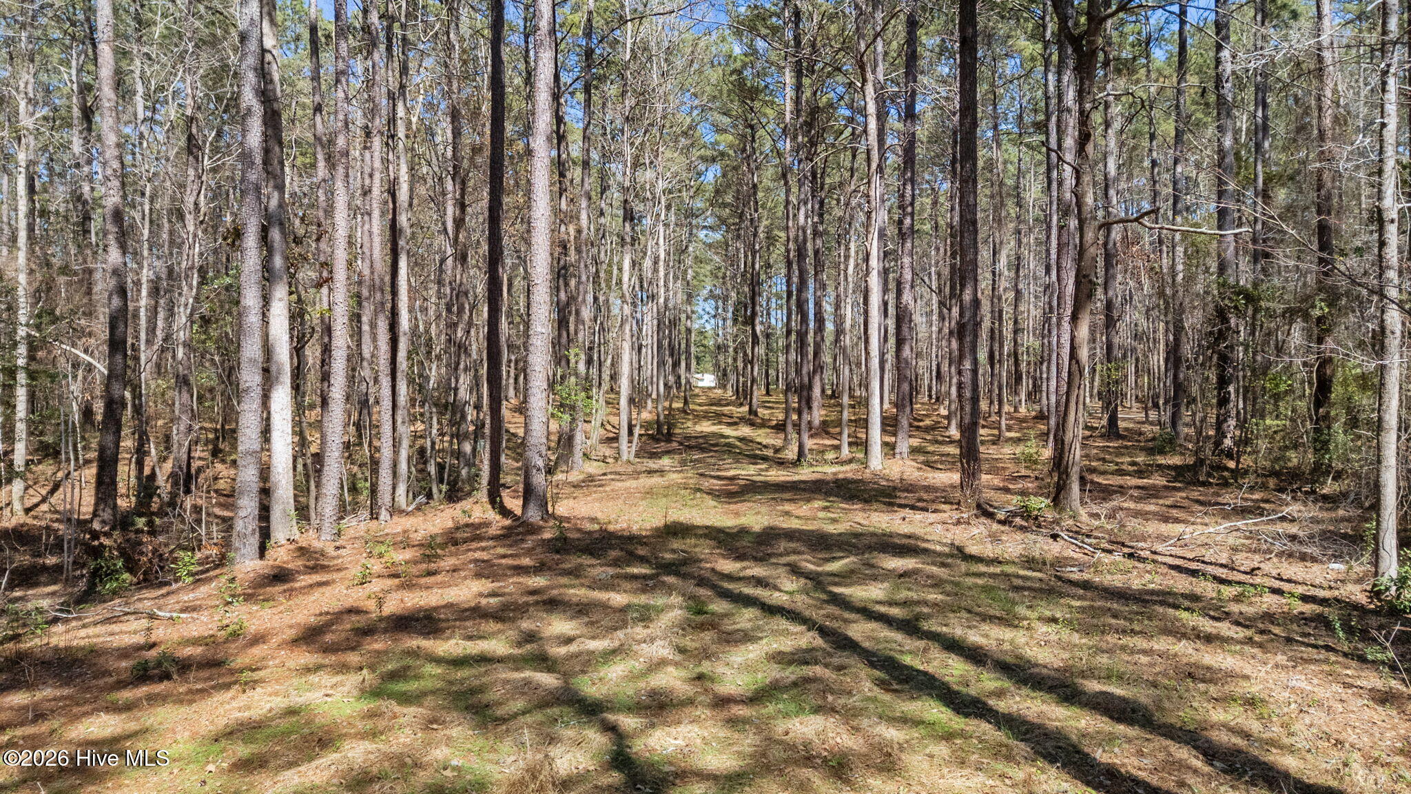 5109 Kershaw Road Arapahoe, NC 28510 - Photo 5 of 16 16-web-or-mls-DJI_20260319135648_0028_D