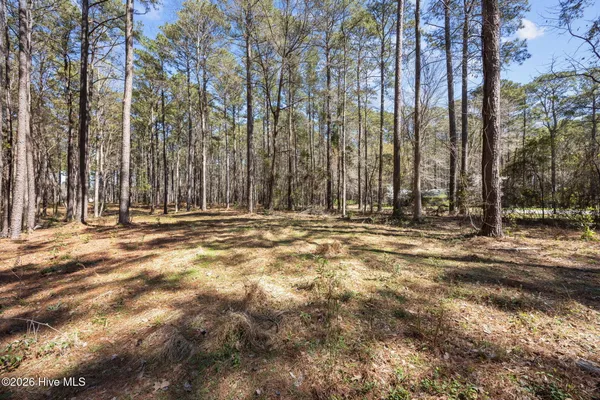 $75,000 | 5109 Kershaw Road, Arapahoe, NC 28510