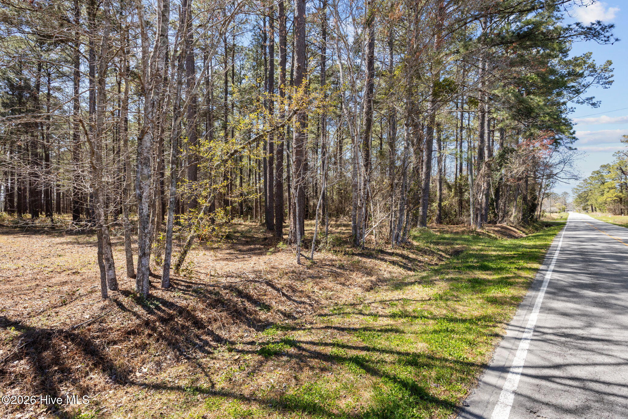 5109 Kershaw Road Arapahoe, NC 28510 - Photo 8 of 16 6-web-or-mls-0C0A6064