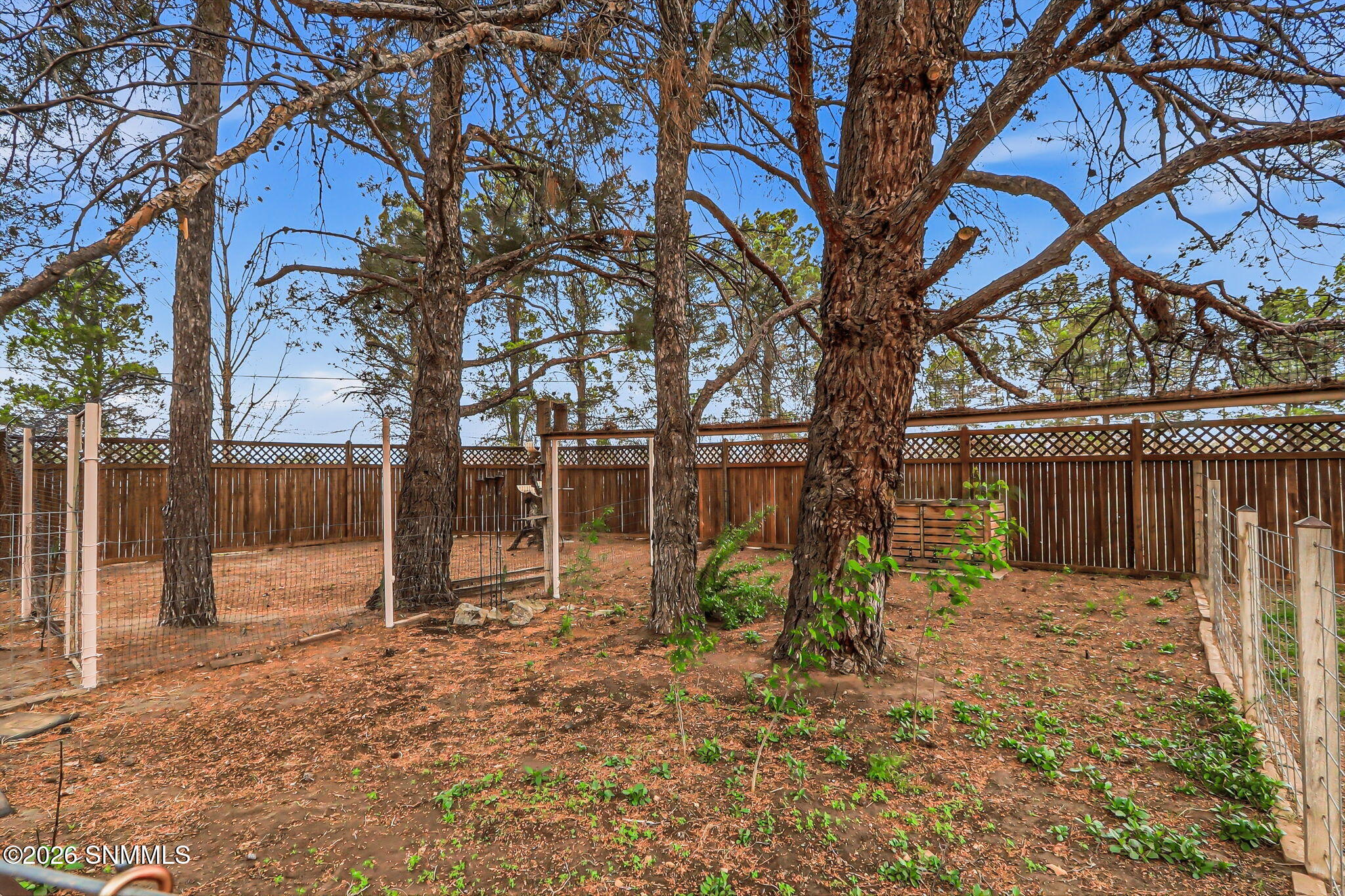 565 Carver Road Las Cruces, NM 88005 - Photo 48 of 85 78-web-or-mls-IMG_8418