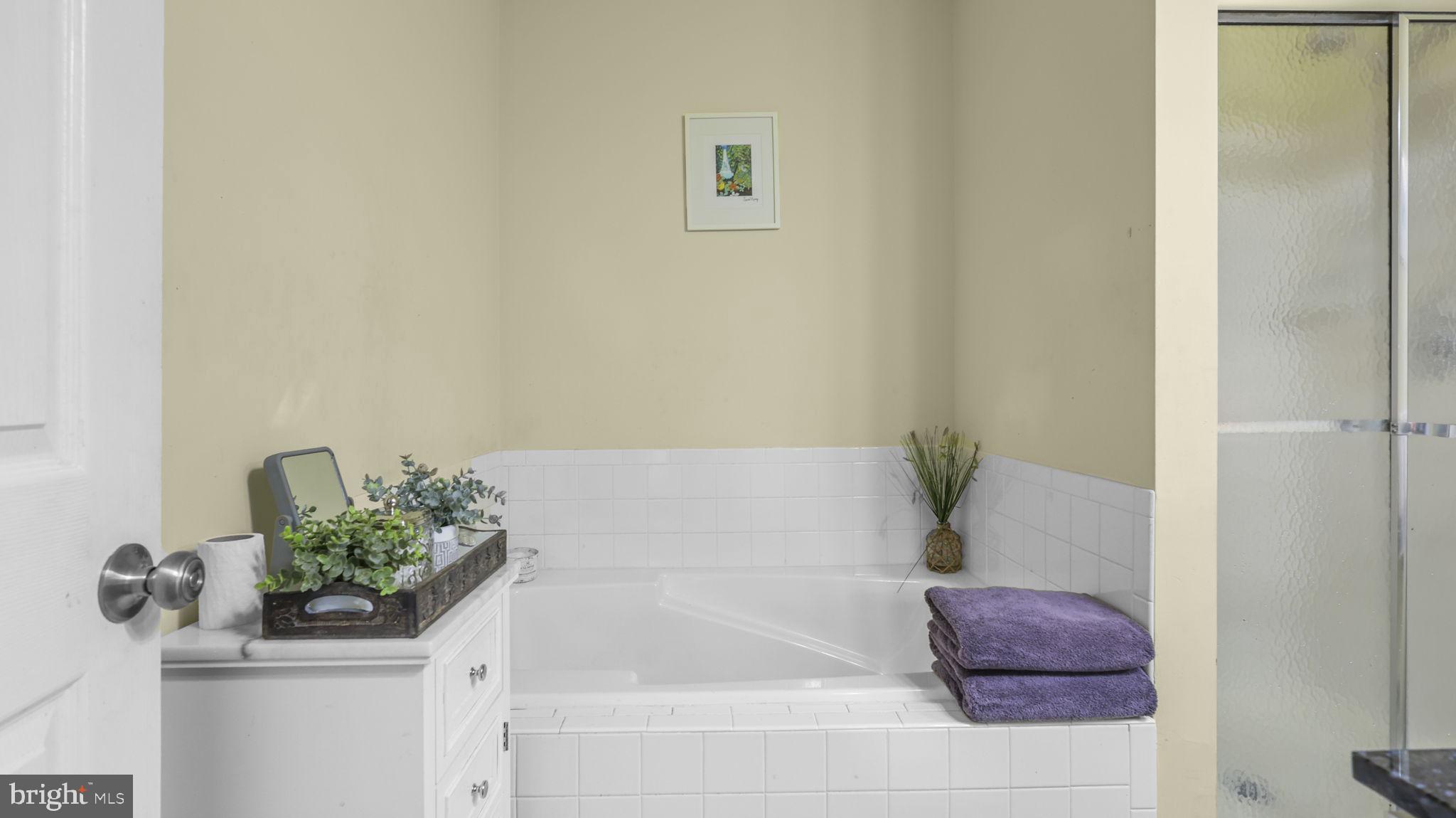 40 Windingbrook Road Bordentown, NJ 08505 - Photo 29 of 51 Primary bath