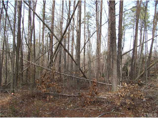 Lily Lane Roxboro, NC 27574 - Photo 1 of 2 Photo 1