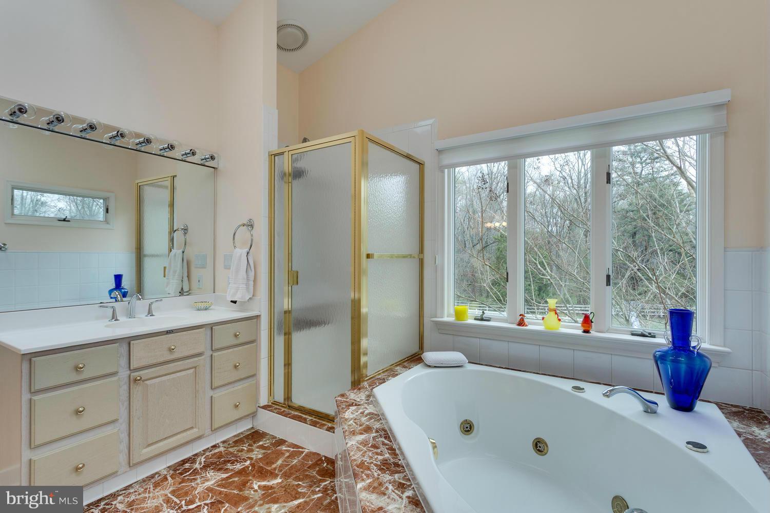 343 Springvale Road Great Falls, VA 22066 - Photo 18 of 26 Vaulted Ceiling Master Bath w/Skylights