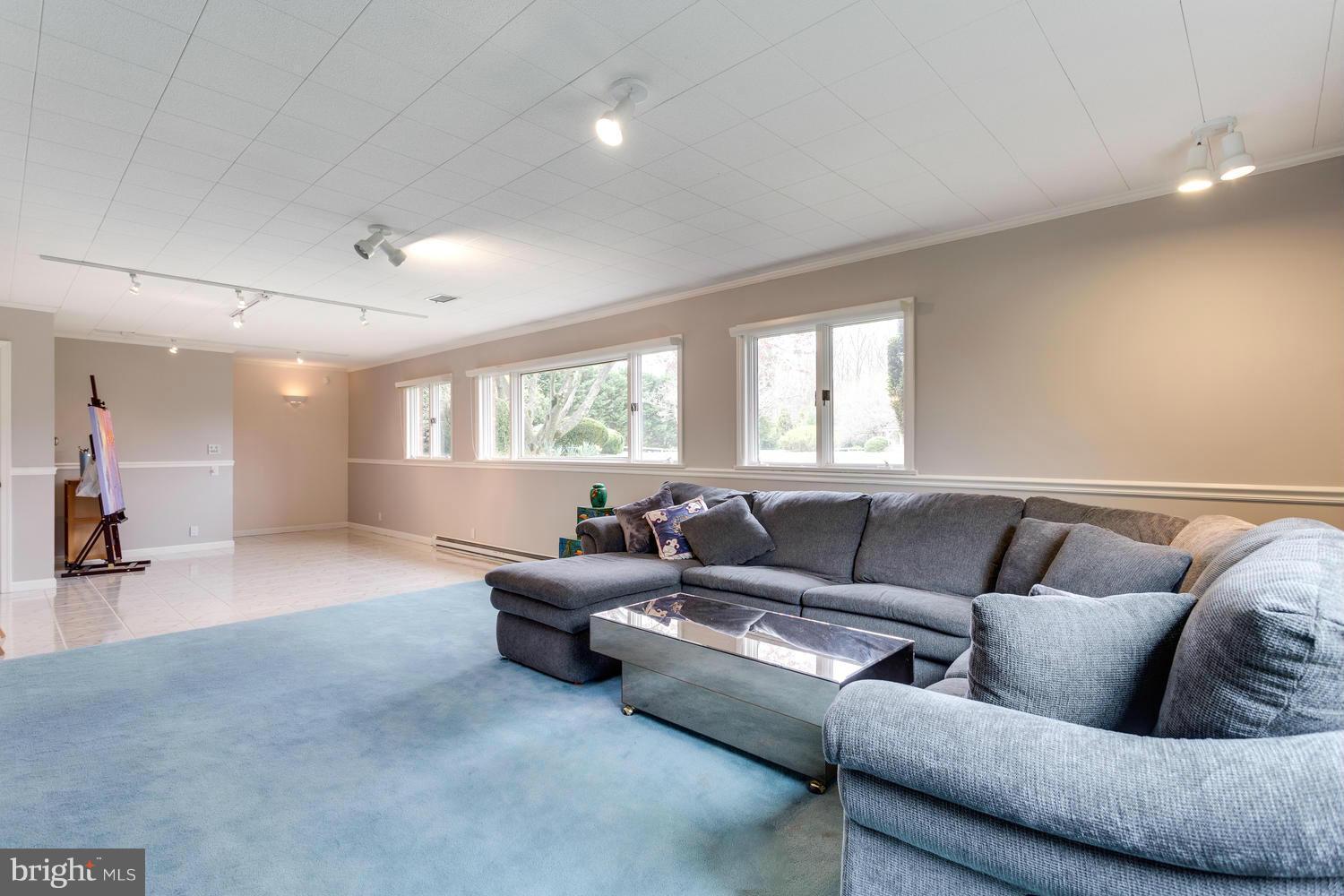 343 Springvale Road Great Falls, VA 22066 - Photo 22 of 26 Recreation Room