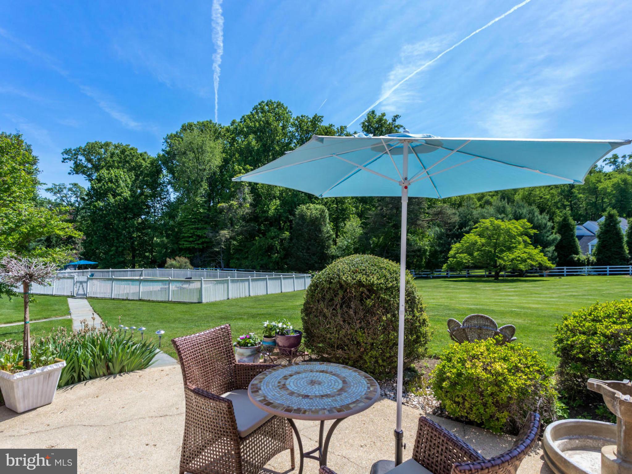343 Springvale Road Great Falls, VA 22066 - Photo 5 of 26 Back Patio View