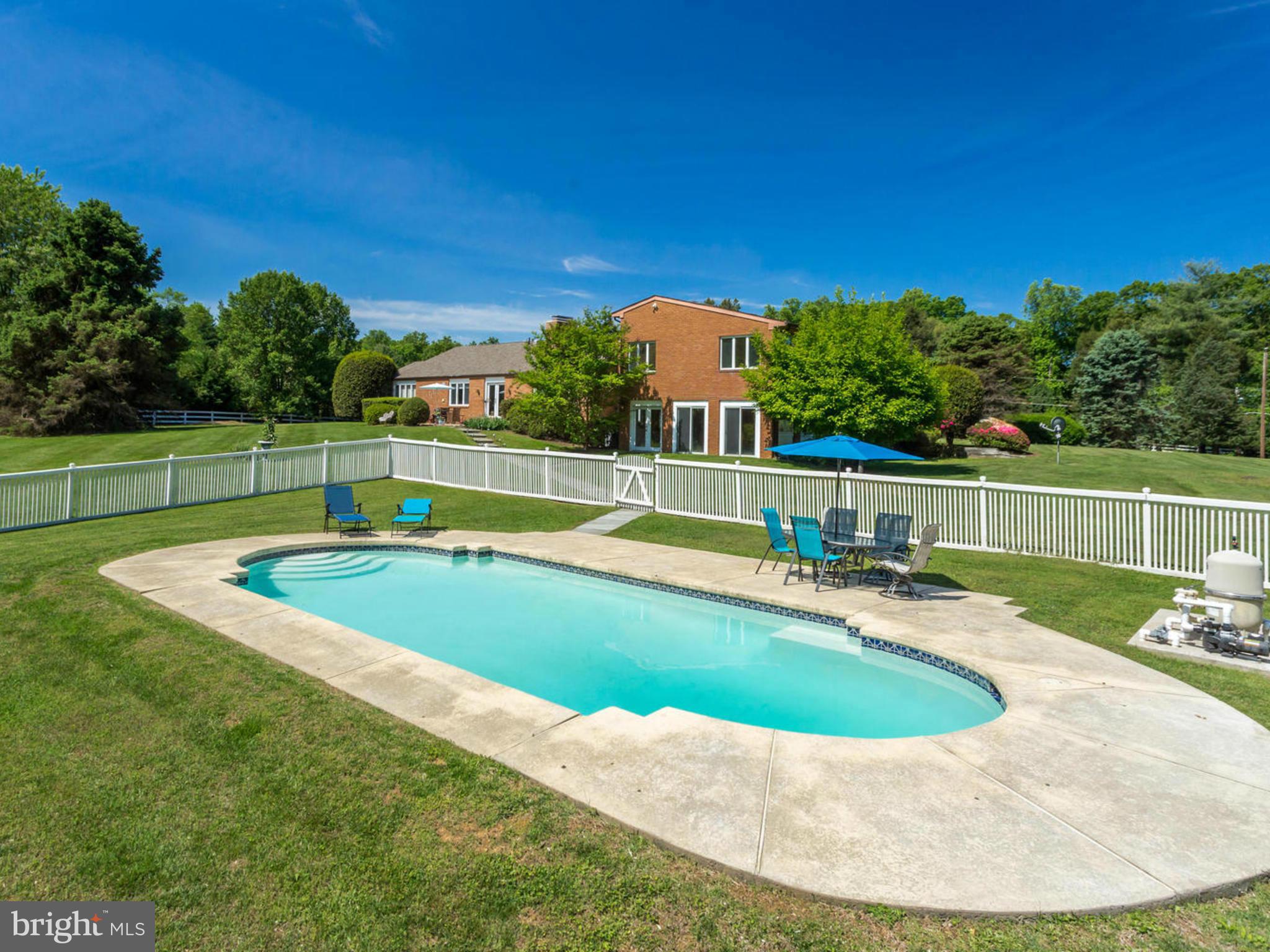 343 Springvale Road Great Falls, VA 22066 - Photo 6 of 26 Pool Party Entertainment!