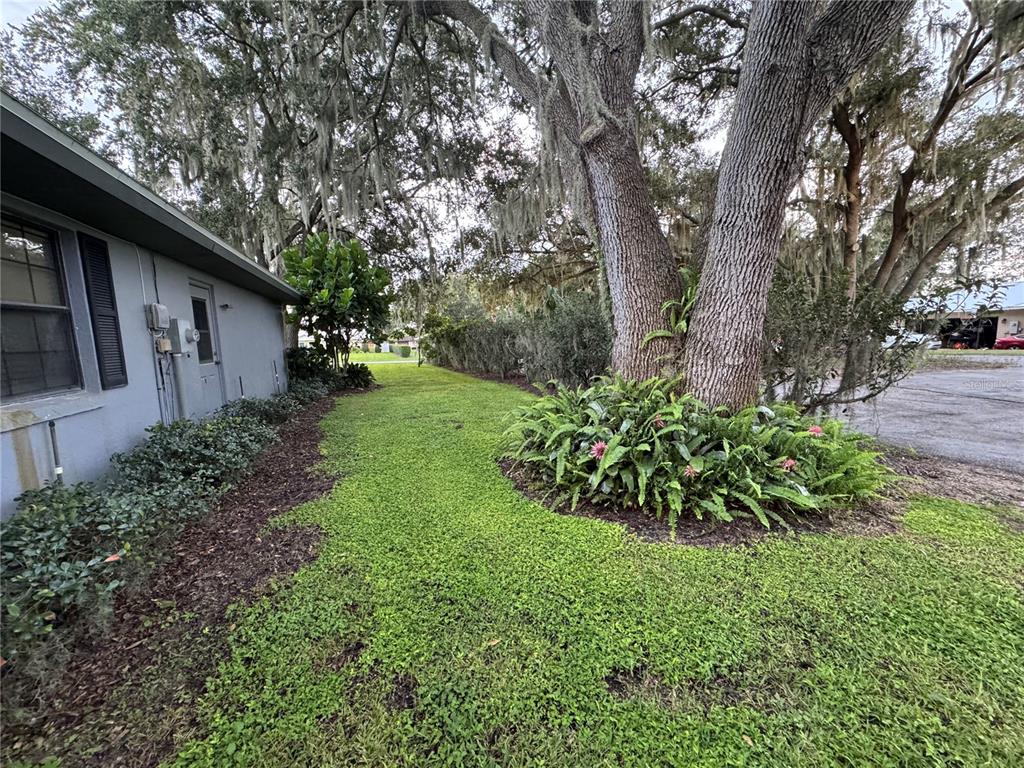 10 Fort Clinch Heights Road Frostproof, FL 33843 - Photo 16 of 40 a backyard of a house with lots of green space