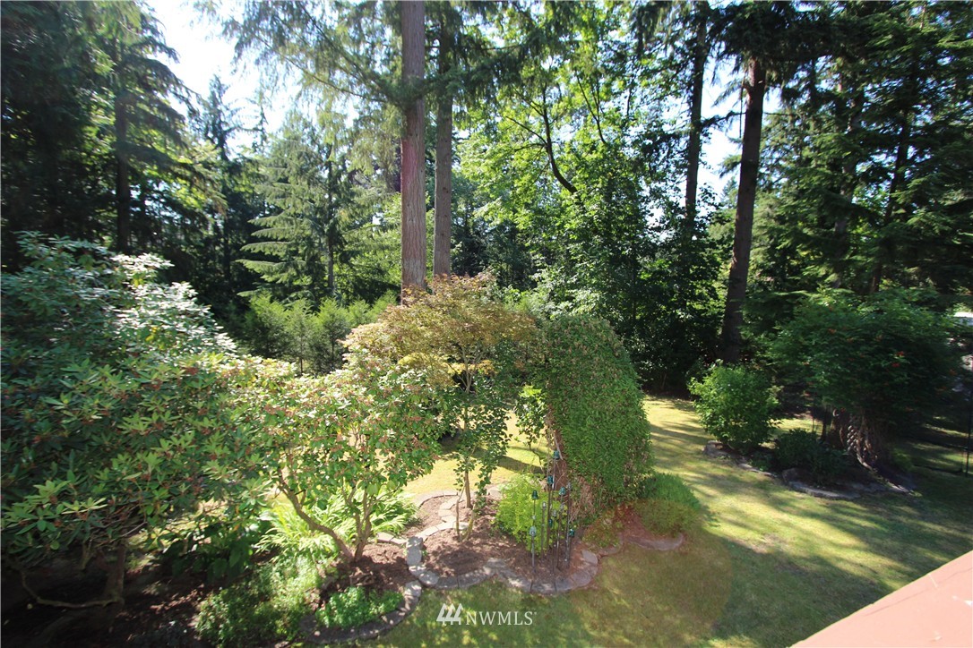 320 170th Place Southwest Bothell, WA 98012 - Photo 23 of 25 a view of a yard with plants and large trees