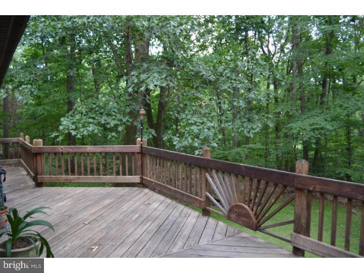 501 County Park Road Pottstown, PA 19465 - Photo 15 of 17 Deck