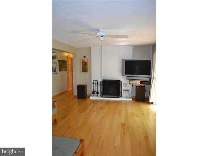 501 County Park Road Pottstown, PA 19465 - Photo 8 of 17 Fireplace