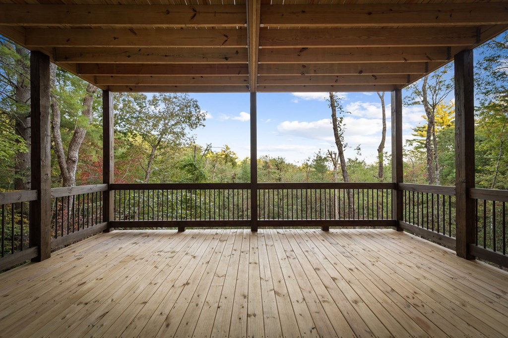 28 Bill Claypool Drive Blue Ridge, GA 30513 - Photo 45 of 60 Gallery Image 45