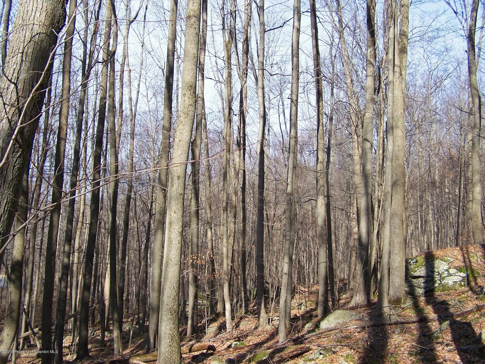 T-493 Helens Road Union Dale, PA 18470 - Photo 6 of 17 ComBK-5