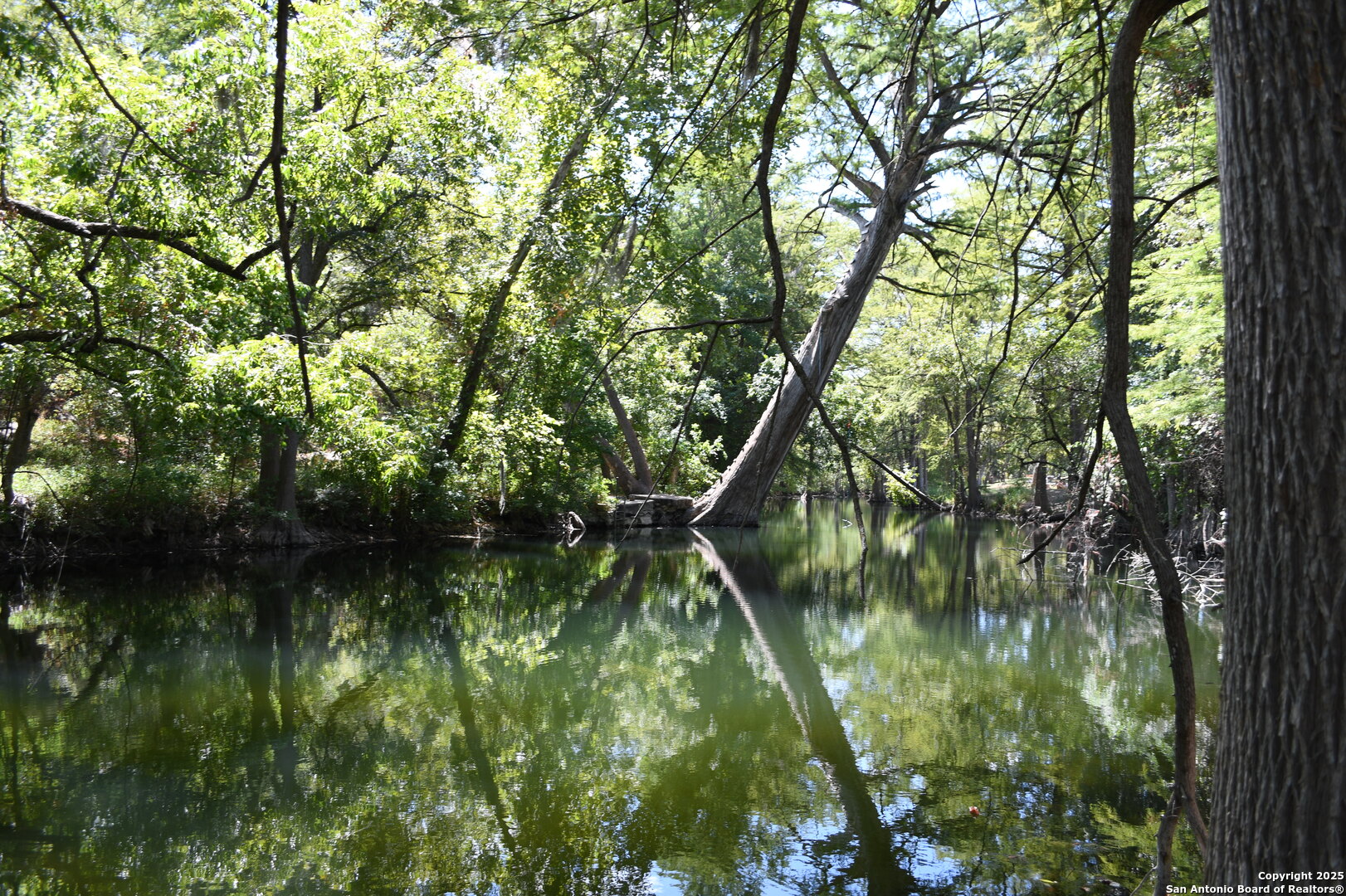 121 Agarita Drive Spring Branch, TX 78070 - Photo 11 of 23 a backyard of a house with lots of green space and lake view