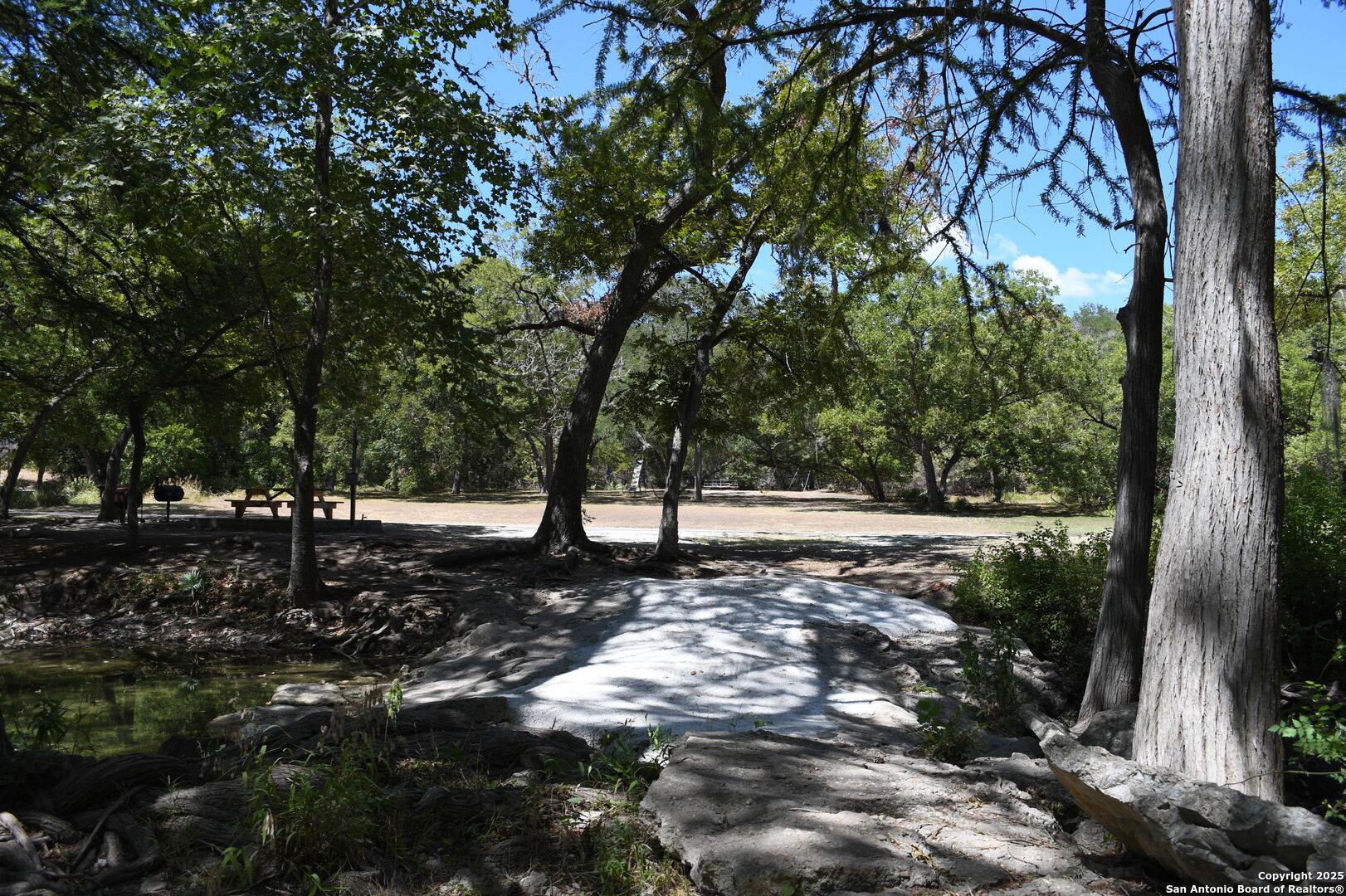 121 Agarita Drive Spring Branch, TX 78070 - Photo 13 of 23 a view of a tree in the middle of a yard