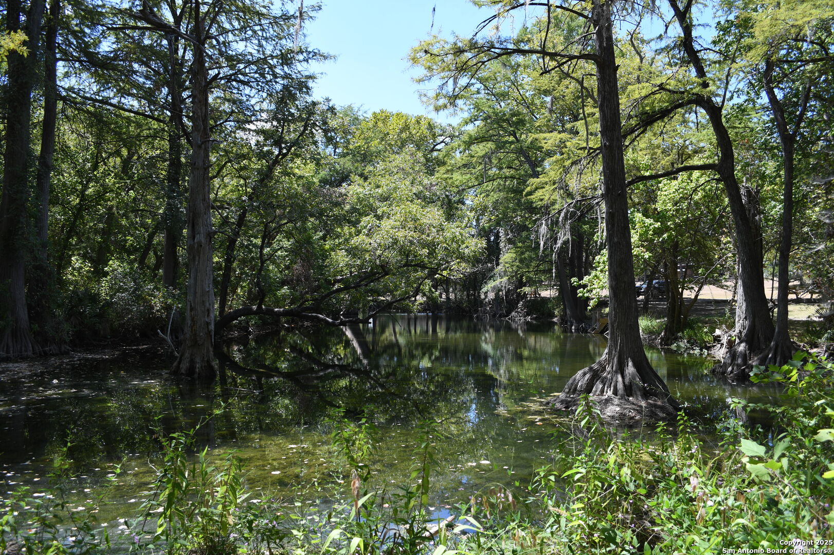 121 Agarita Drive Spring Branch, TX 78070 - Photo 14 of 23 a view of lake