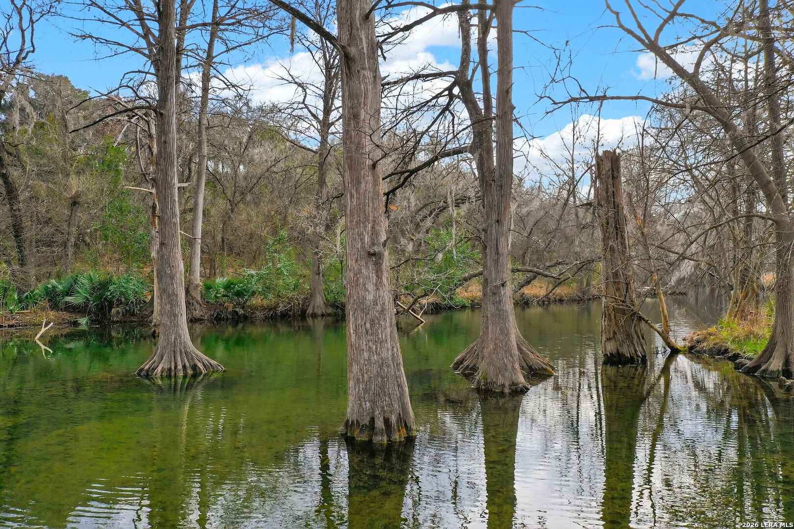 121 Agarita Drive Spring Branch, TX 78070 - Photo 18 of 23 a backyard of a house with lots of green space