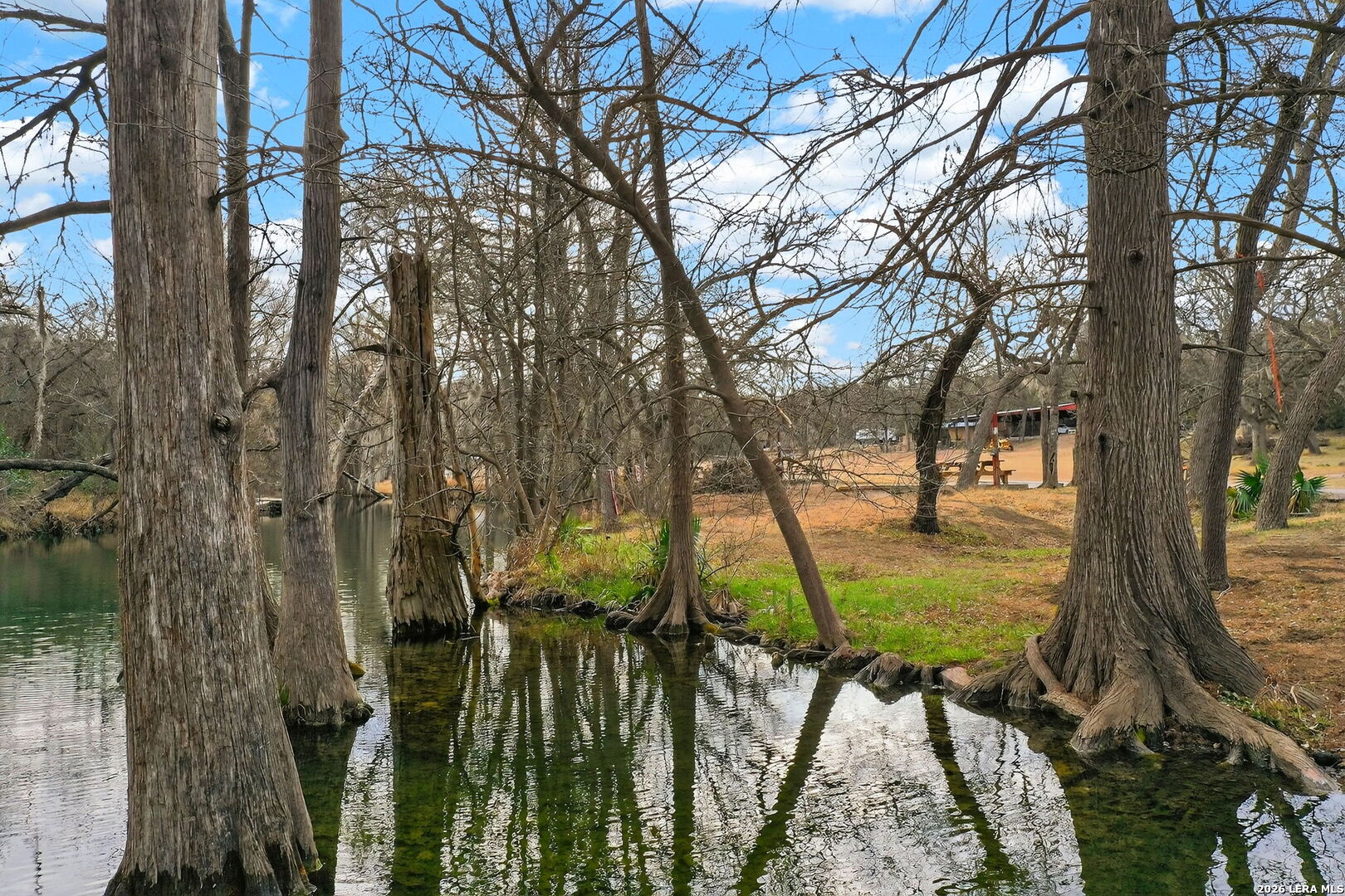 121 Agarita Drive Spring Branch, TX 78070 - Photo 19 of 23 a view of a backyard