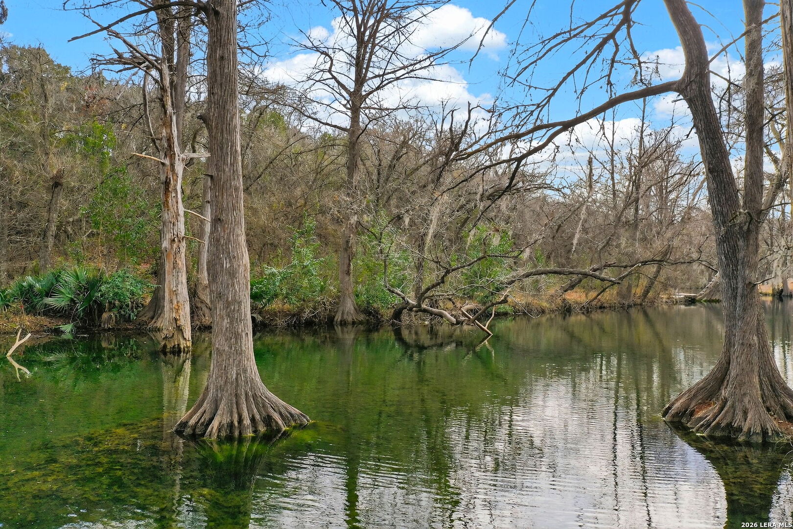 121 Agarita Drive Spring Branch, TX 78070 - Photo 20 of 23 a lake view with a lake view
