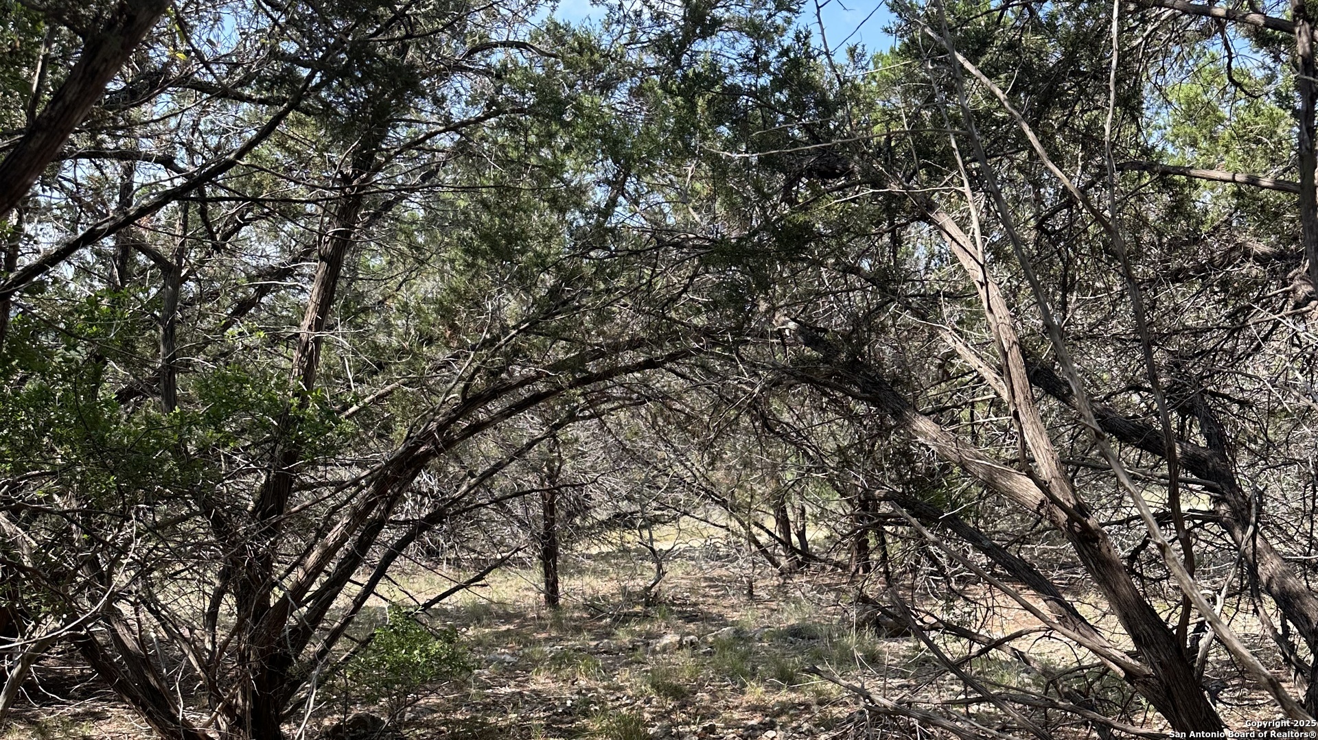 121 Agarita Drive Spring Branch, TX 78070 - Photo 2 of 23