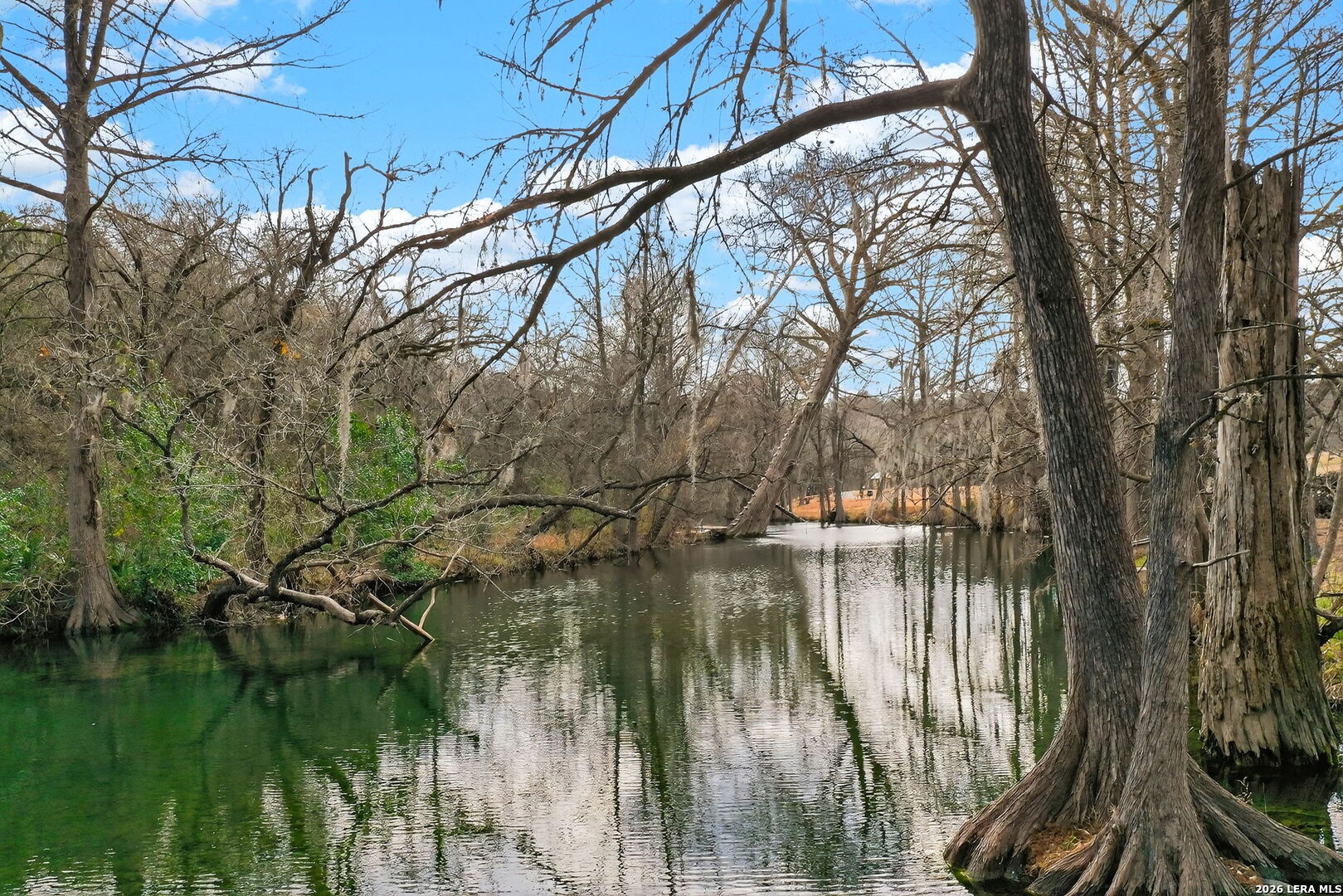 121 Agarita Drive Spring Branch, TX 78070 - Photo 21 of 23 a backyard of a house with lots of green space and lake view