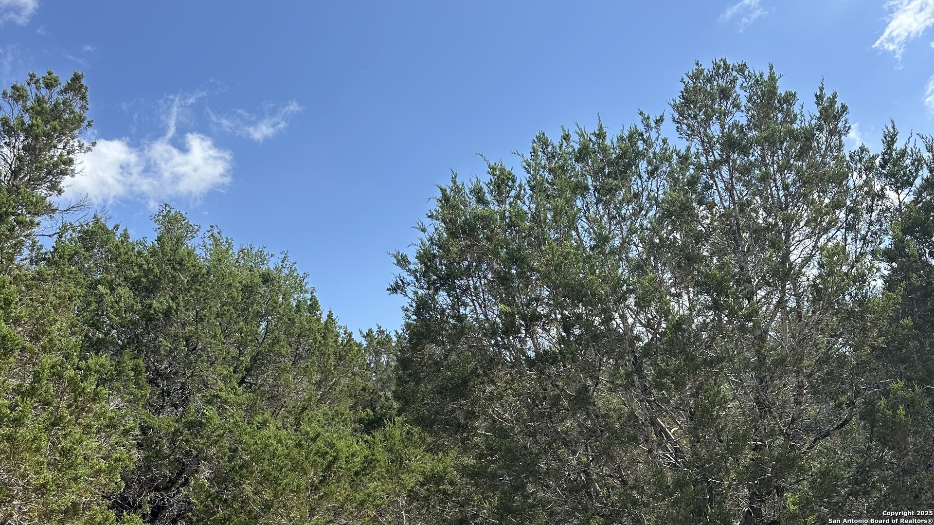 121 Agarita Drive Spring Branch, TX 78070 - Photo 7 of 23 a view of a city