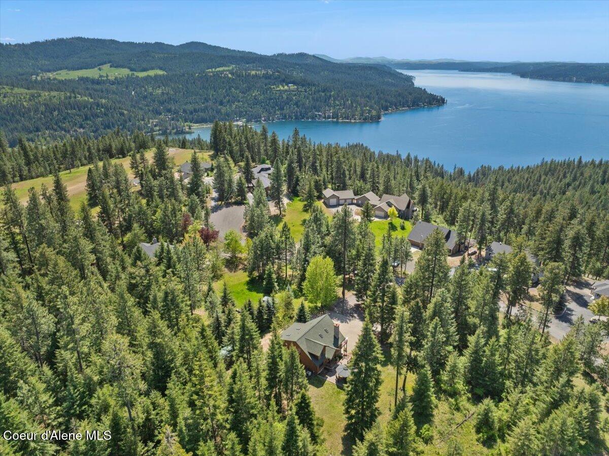 13764 South Ridgeview Drive Harrison, ID 83833 - Photo 59 of 60 62-Aerial back of home