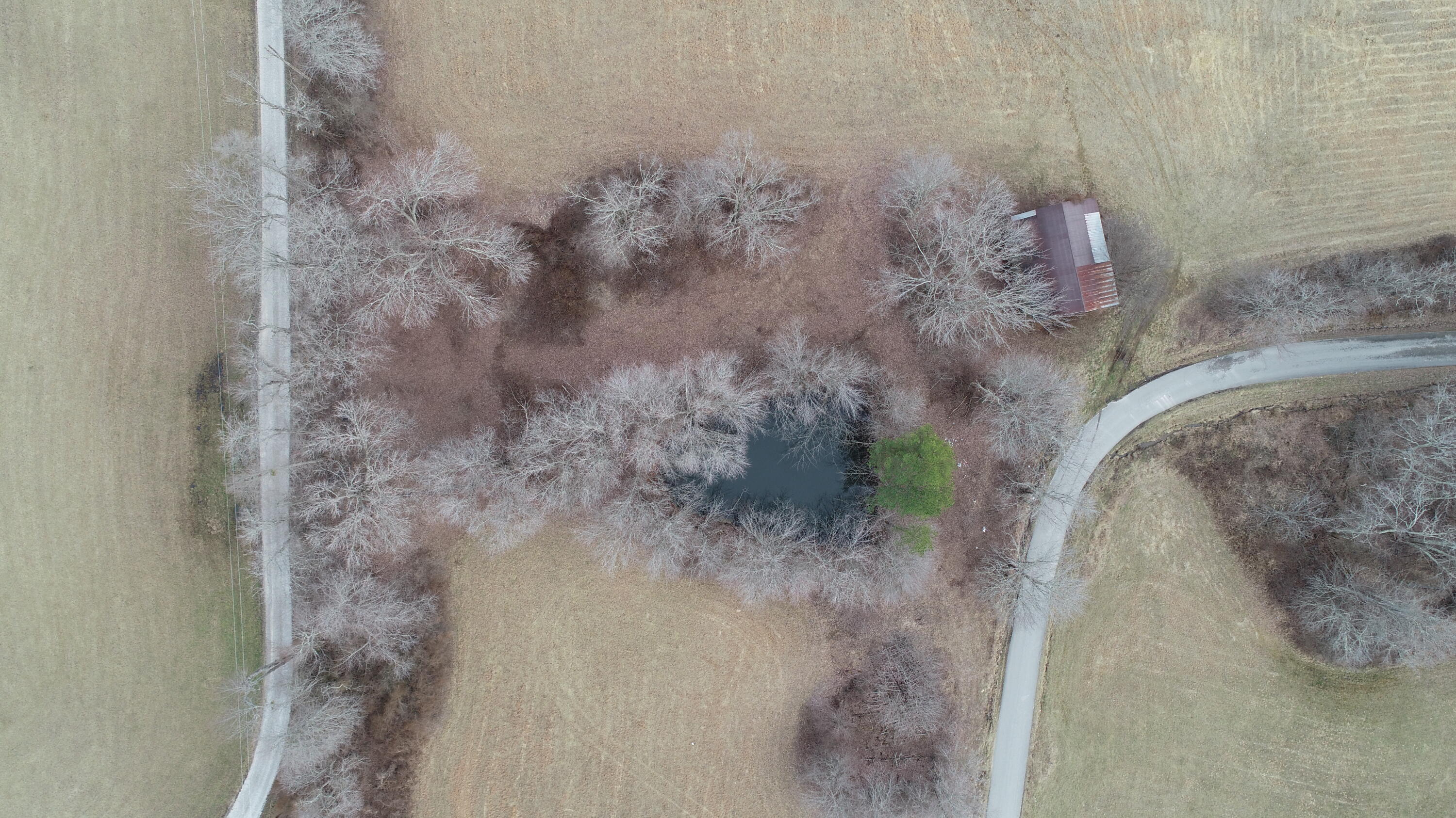 1 A Mildred Road McKee, KY 40447 - Photo 8 of 14 DJI_0760