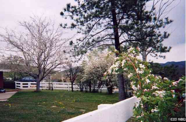 20920 Ames Lane Reno, NV 89521 - Photo 2 of 6 a garden view with a seating space