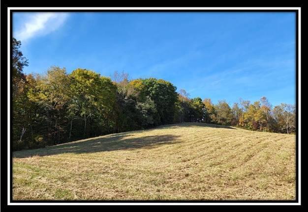 0 Maysville-Williams Road, Unit TRACT 1) Logan, OH 43138 - Photo 19 of 47 image019
