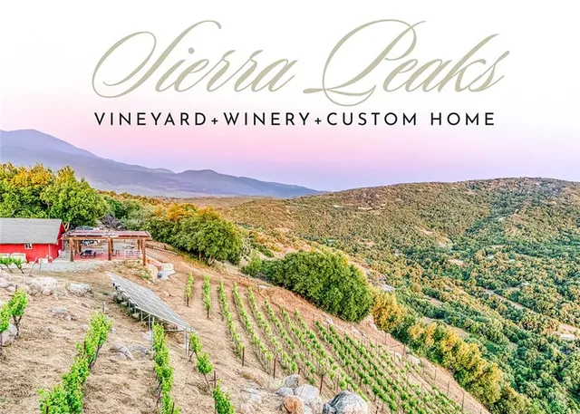 a view of a yard with an ocean view