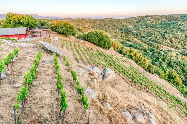 a view of a chairs and table in the backyard